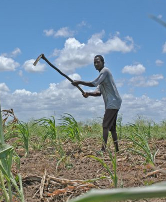 Environment, Agriculture and Land Management