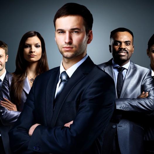 Government Consultancies/Governance Courses