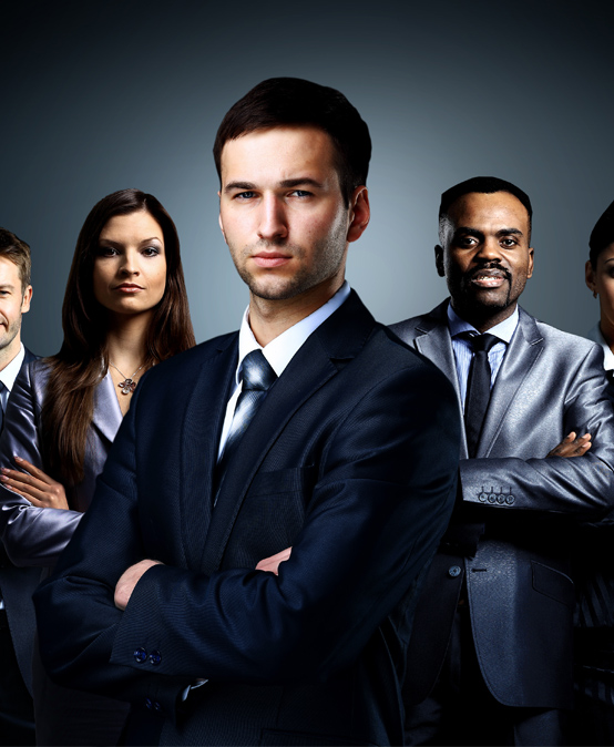 Government Consultancies/Governance Courses